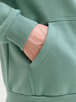 Bestseller / Herren-Sweat / JJEBRADLEY SWEAT ZIP HOOD NOOS