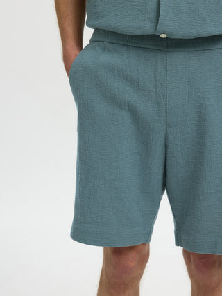 Bestseller / Herren-Shorts / SLHREGCAL SHORTS