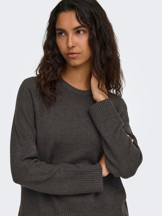 Bestseller / Damen-Strick / ONLPRINCESS LS O-NECK RAGLAN KNT NO