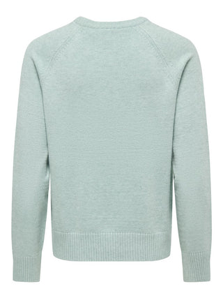 Bestseller / Damen-Strick / ONLPRINCESS LS O-NECK RAGLAN KNT NO