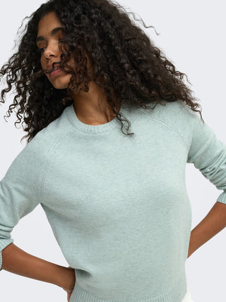 Bestseller / Damen-Strick / ONLPRINCESS LS O-NECK RAGLAN KNT NO