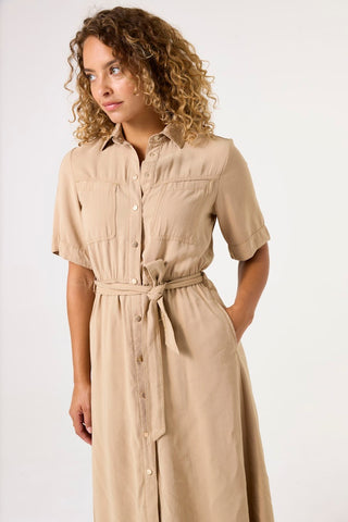 6146 golden tan;3