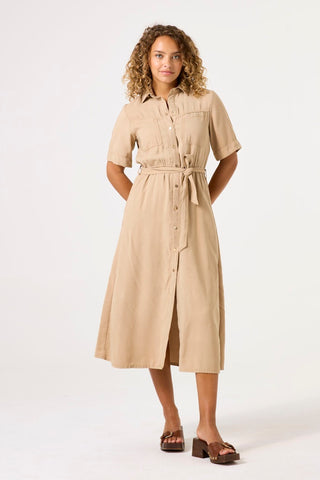 6146 golden tan;5