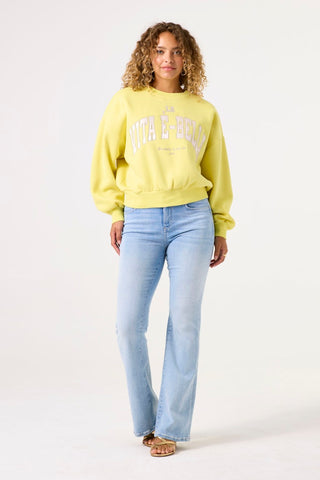 947 fresh yellow;5