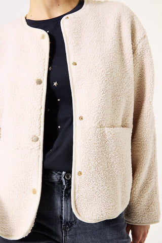 5627 soft teddy;2