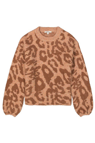 2870 teddybear;1