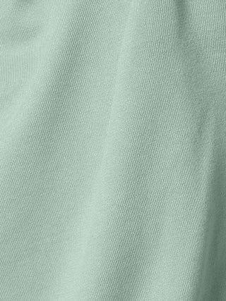 058 Mint;13
