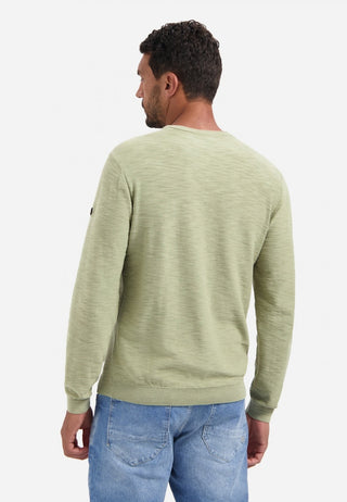 197 Light Moss;16