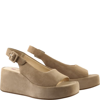 taupe;2