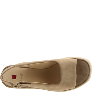 taupe;4