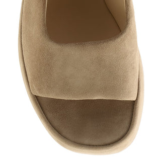 taupe;5