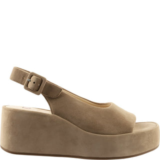 taupe;1