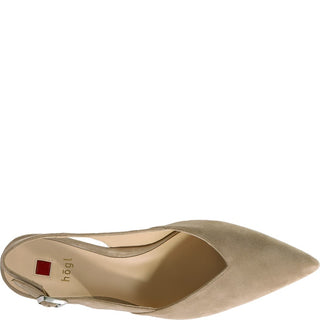 taupe;4