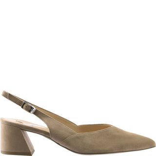 taupe;1