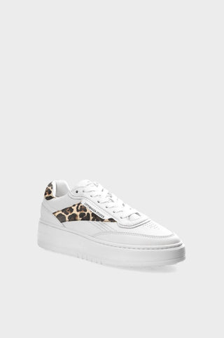 white/leo;3