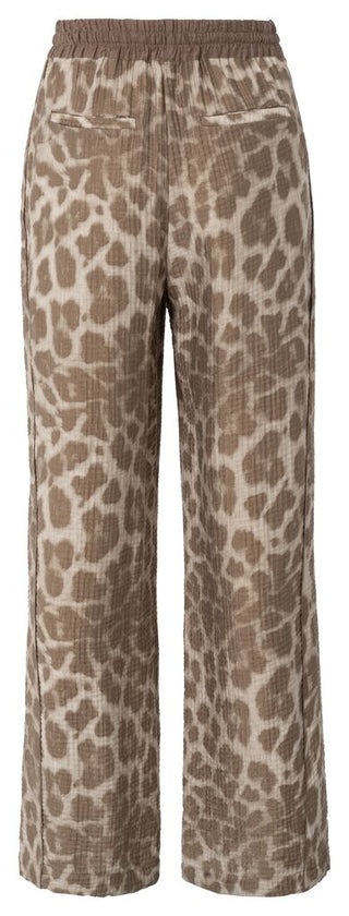 999511 MILK BROWN DESSIN;2