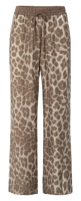 999511 MILK BROWN DESSIN;1