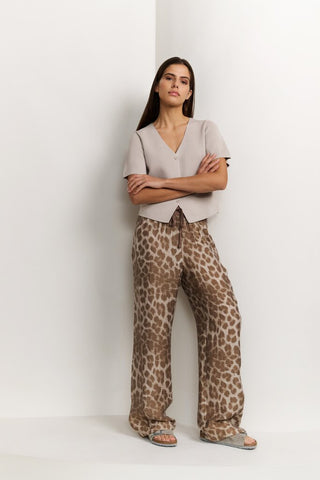 999511 MILK BROWN DESSIN;4