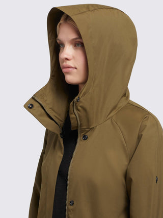 230 OLIVE;9